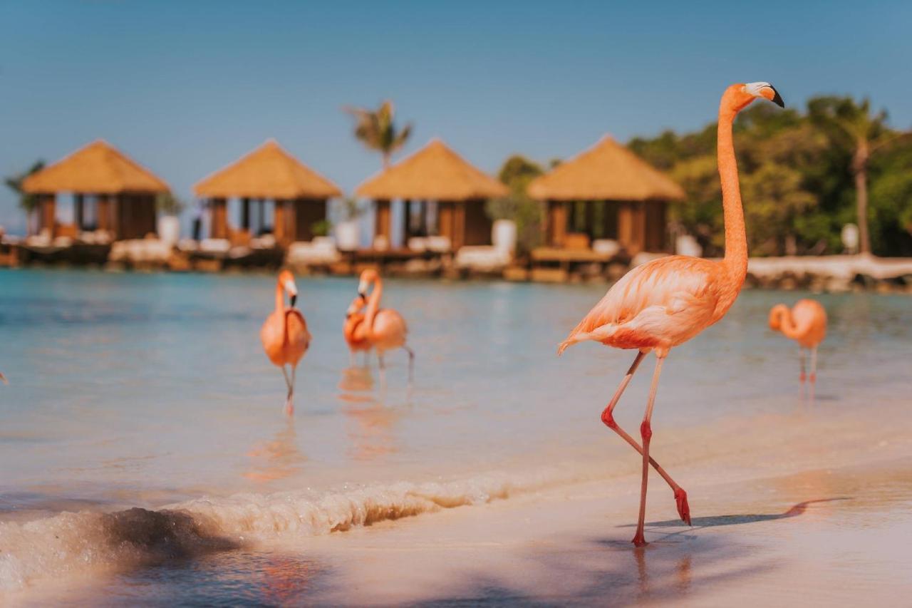 Renaissance Wind Creek Aruba Resort Ораньестад Экстерьер фото